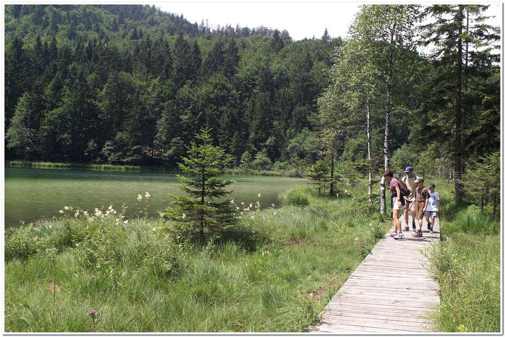 Aktivhotel & Gasthof Schmelz Ihr Urlaubs Hotel In Inzell Mit Wellness Hallenbad, Alpensauna & Dampfbad Buitenkant foto